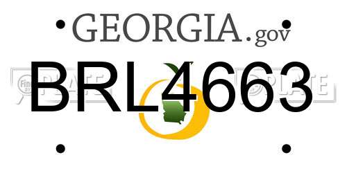 BRL4663 Georgia License Plate