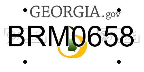 BRM0658 Georgia License Plate