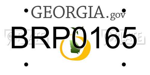 BRP0165 Georgia License Plate