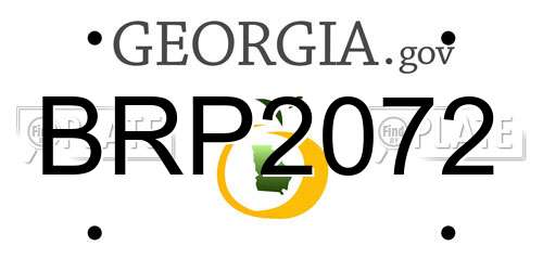 BRP2072 Georgia License Plate