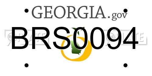 BRS0094 Georgia License Plate
