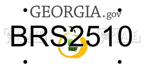 BRS2510 Georgia License Plate