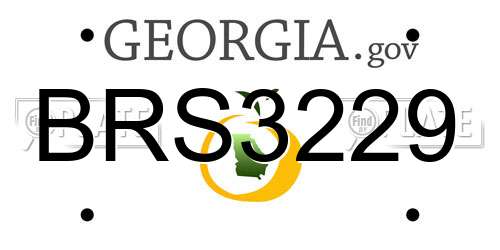 BRS3229 Georgia License Plate