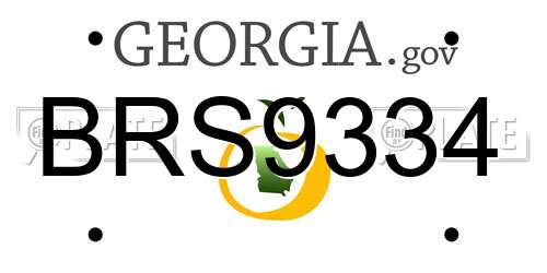 BRS9334 Georgia License Plate