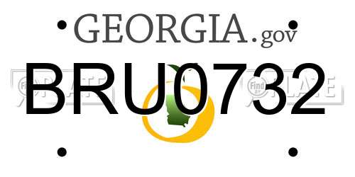 BRU0732 Georgia License Plate