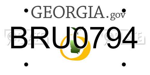 BRU0794 Georgia License Plate