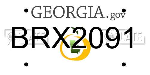 BRX2091 Georgia License Plate