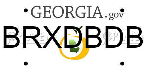 BRXDBDB Georgia License Plate
