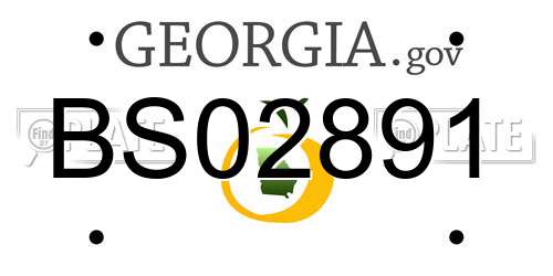 BS02891 Georgia License Plate