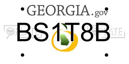 BS1T8B Georgia License Plate