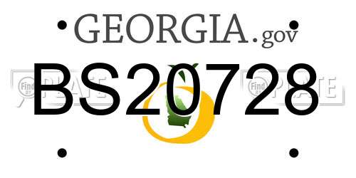 BS20728 Georgia License Plate