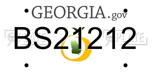 BS21212 Georgia License Plate