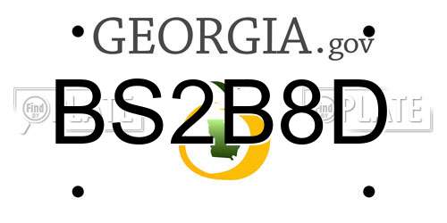 BS2B8D Georgia License Plate