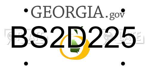 BS2D225 Georgia License Plate