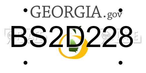 BS2D228 Georgia License Plate
