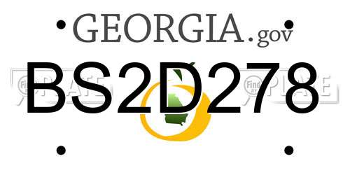 BS2D278 Georgia License Plate