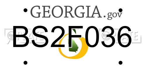 BS2F036 Georgia License Plate