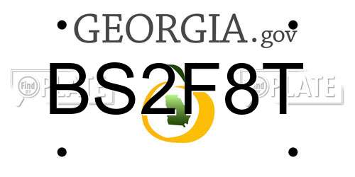 BS2F8T Georgia License Plate
