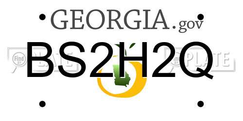 BS2H2Q Georgia License Plate