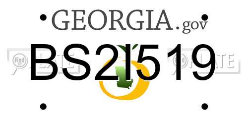 BS2I519 Georgia License Plate