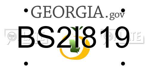 BS2I819 Georgia License Plate
