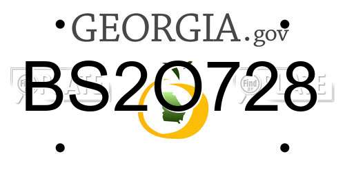 BS2O728 Georgia License Plate
