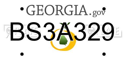 BS3A329 Georgia License Plate