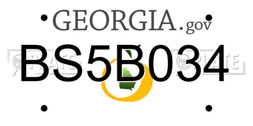 BS5B034 Georgia License Plate