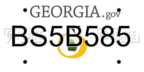 BS5B585 Georgia License Plate