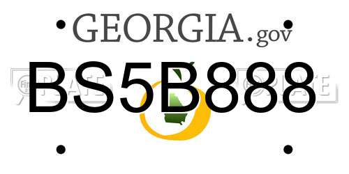 BS5B888 Georgia License Plate