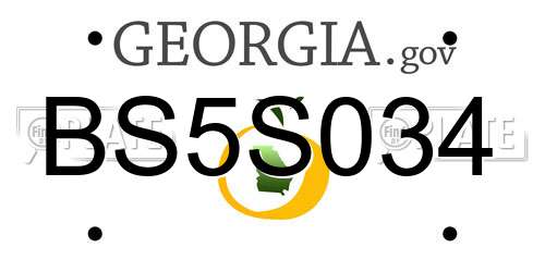 BS5S034 Georgia License Plate