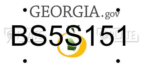 BS5S151 Georgia License Plate