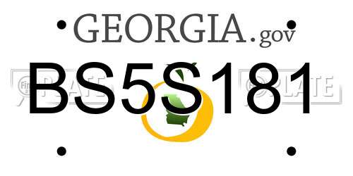 BS5S181 Georgia License Plate