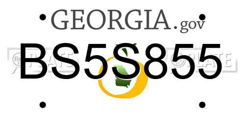 BS5S855 Georgia License Plate