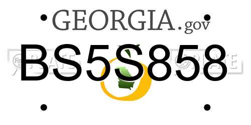BS5S858 Georgia License Plate
