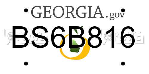 BS6B816 Georgia License Plate