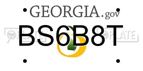 BS6B8T Georgia License Plate