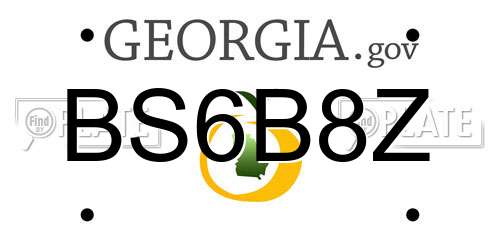 BS6B8Z Georgia License Plate