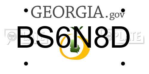 BS6N8D Georgia License Plate