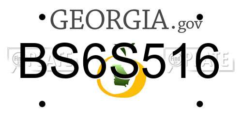 BS6S516 Georgia License Plate