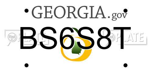 BS6S8T Georgia License Plate