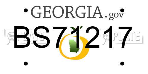 BS71217 Georgia License Plate