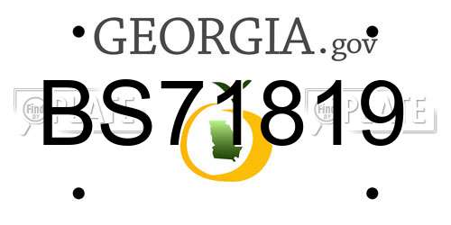 BS71819 Georgia License Plate