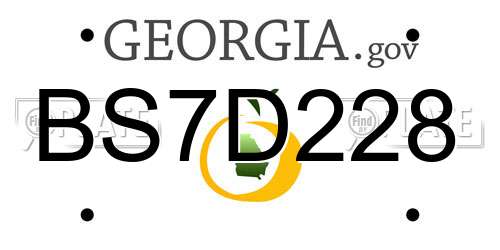 BS7D228 Georgia License Plate