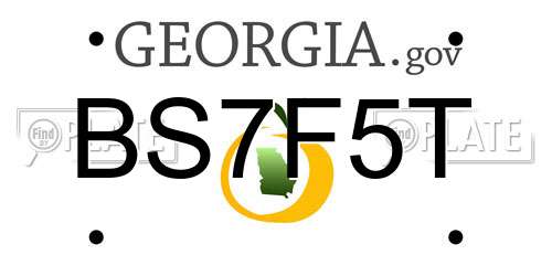 BS7F5T Georgia License Plate