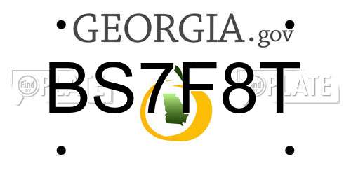 BS7F8T Georgia License Plate