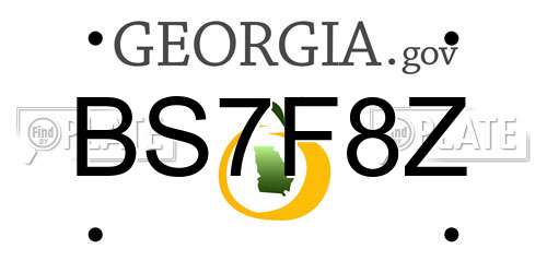 BS7F8Z Georgia License Plate