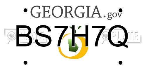 BS7H7Q Georgia License Plate
