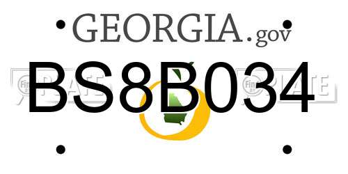 BS8B034 Georgia License Plate
