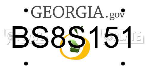 BS8S151 Georgia License Plate